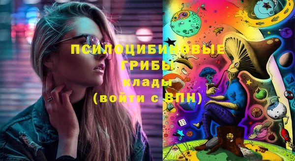 ГАЛЛЮЦИНОГЕННЫЕ ГРИБЫ Абдулино