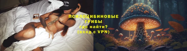 дурь Абаза