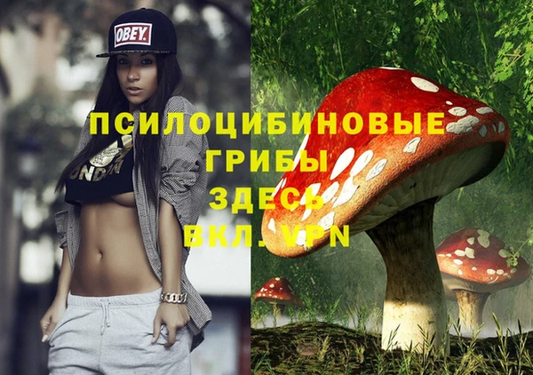 ГАЛЛЮЦИНОГЕННЫЕ ГРИБЫ Абдулино