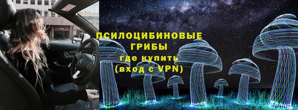 PSILOCYBIN Алексеевка