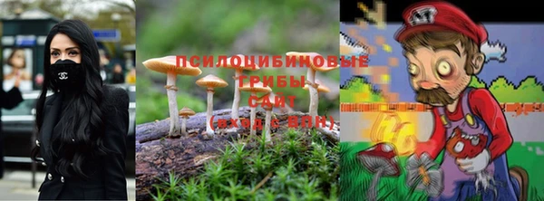 ГАЛЛЮЦИНОГЕННЫЕ ГРИБЫ Абдулино