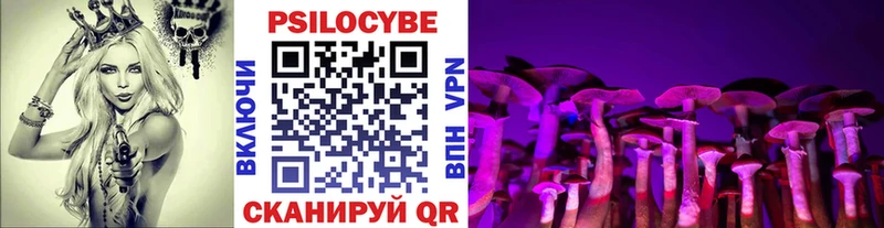 нарко площадка формула  Тутаев  Псилоцибиновые грибы Psilocybine cubensis  наркота 