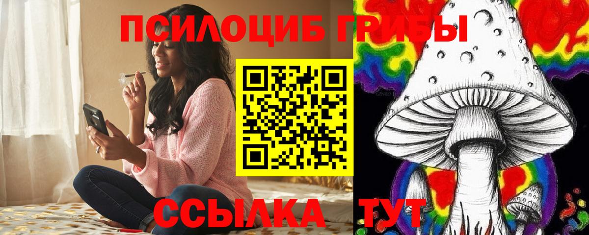 Псилоцибиновые грибы ЛСД Тутаев